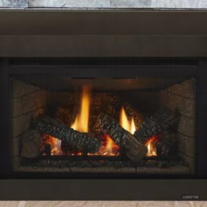 Excursion Series Gas Fireplace Insert