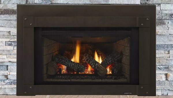 Excursion Series Gas Fireplace Insert
